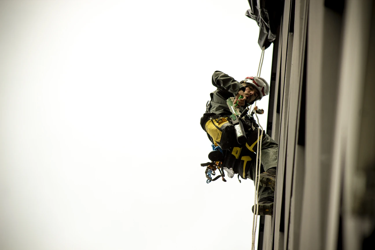 Intervention de cordistes MS Access pour vue dégagée chez BOR ROCADE à Villenave-d'Ornon (bâtiment) – 2